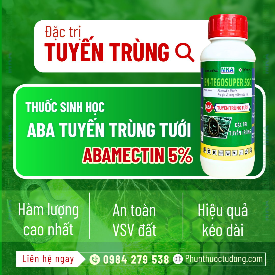 Bệnh vàng lá thối rễ